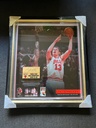 Luc Longley signed piece of United Center floor