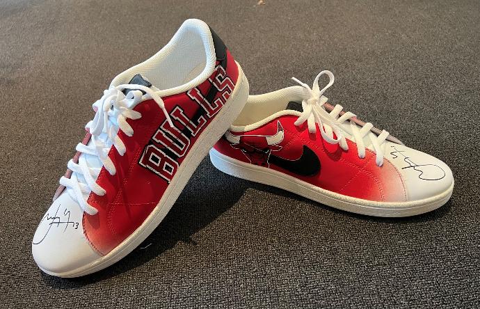 Auction For Luc Longley Signed Custom Shoes